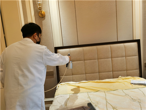 �·���γ���ȩЧ������