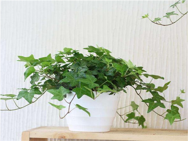 �·����b�޺���ô����ȩ��